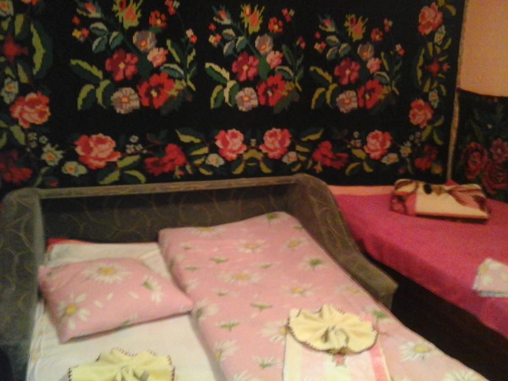 Hotel La Popas Orhei Exteriér fotografie